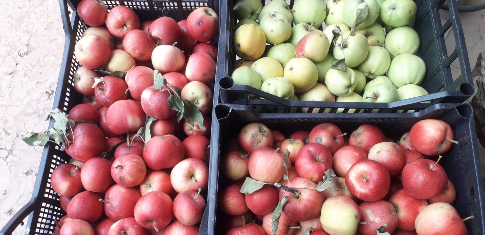 Farm stay Le Bottesele *