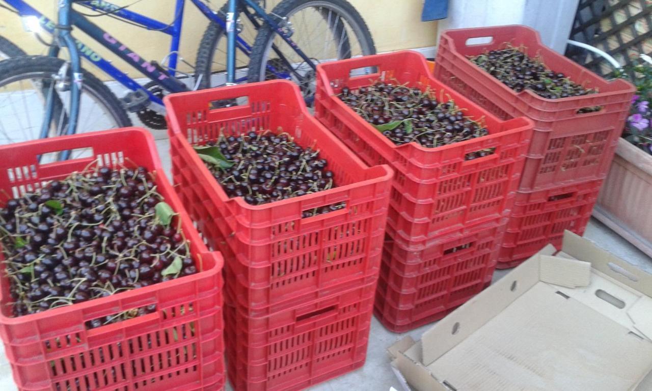 Le Bottesele Séjour à la ferme