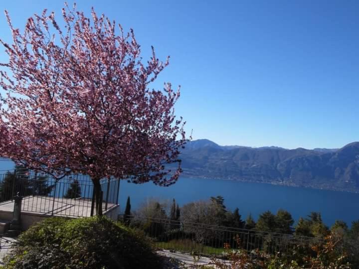 Séjour à la ferme Le Bottesele San Zeno di Montagna