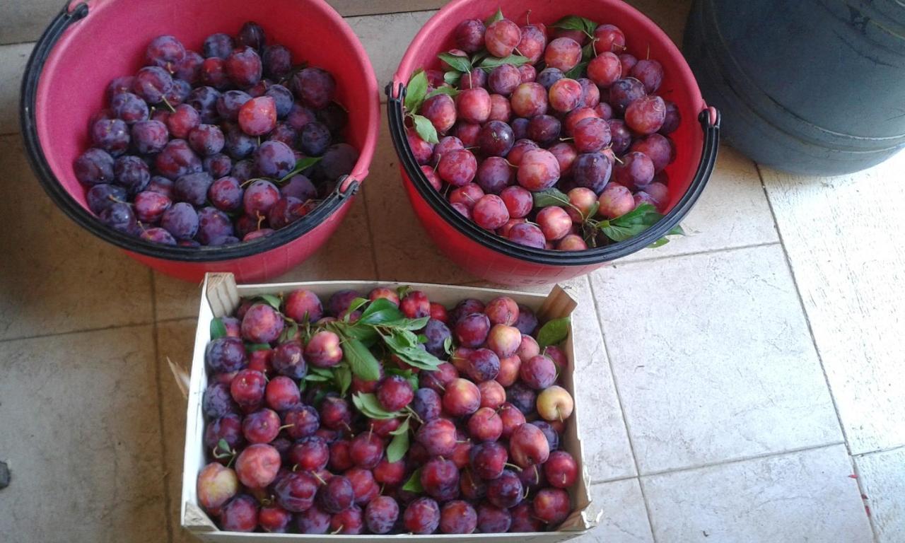 Le Bottesele Séjour à la ferme