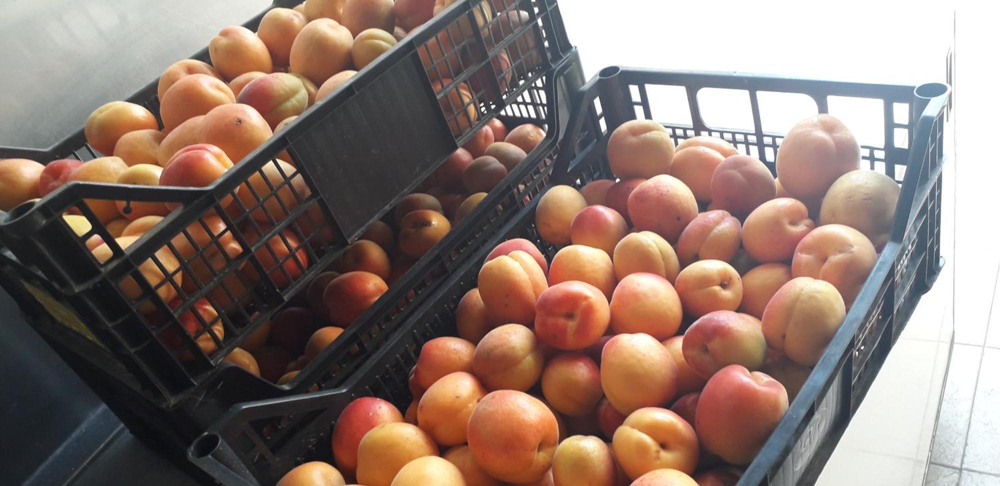 Séjour à la ferme Le Bottesele *