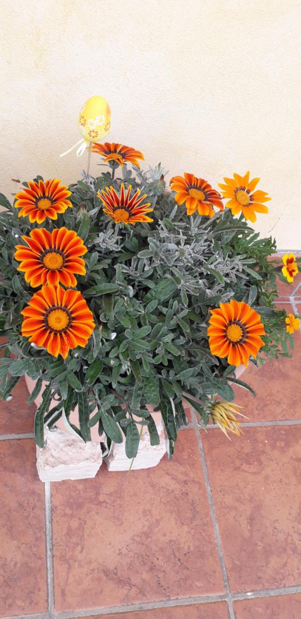 Le Bottesele * San Zeno di Montagna