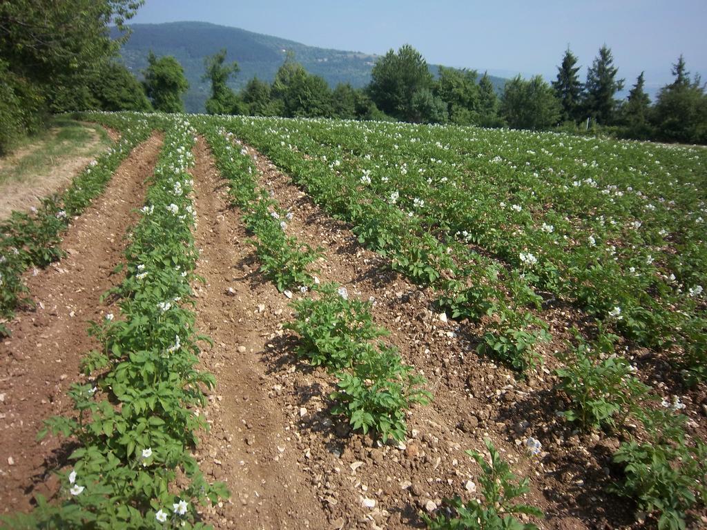 Le Bottesele Bauernhof